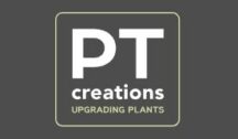 logo pt creations